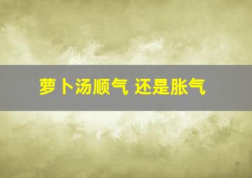 萝卜汤顺气 还是胀气